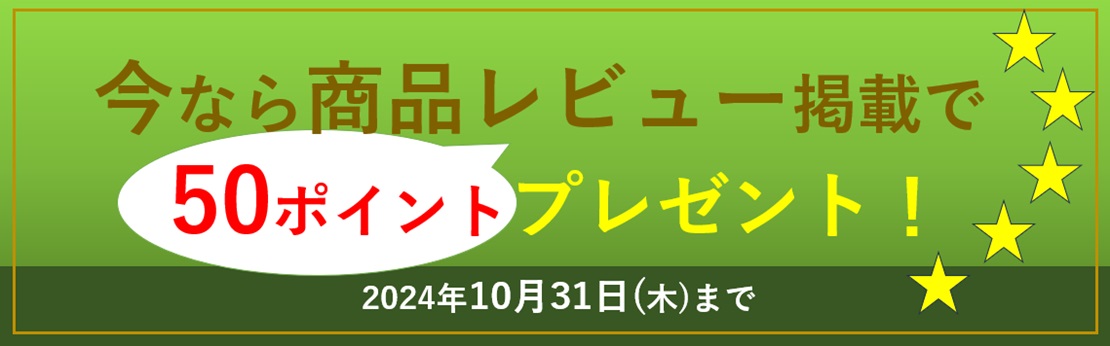 商品レビュー50ポイントプレゼント