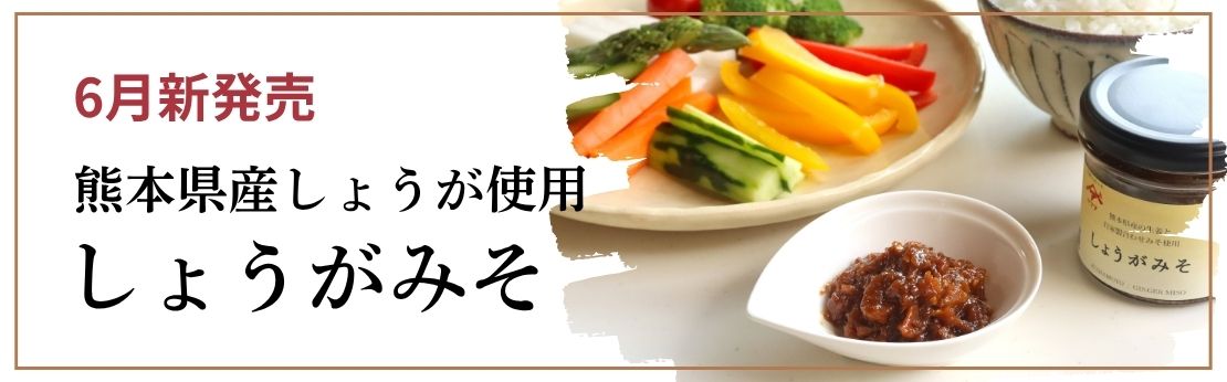 ”しょうがみそ新発売！"